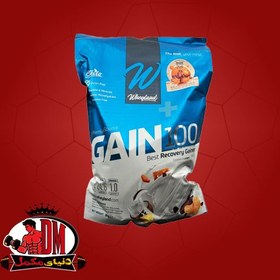 تصویر پودر گین 100 وی لند 3000 گرم 