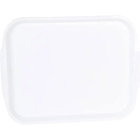 تصویر سینی مات بزرگ 