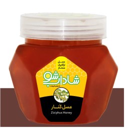 تصویر عسل کنار 1 کیلوگرم 