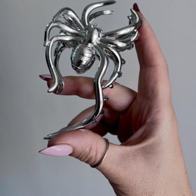 تصویر کلیپس عنکبوت نقره ای 