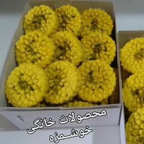 تصویر کلمپه گردویی کرمان 