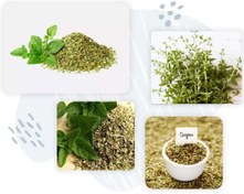 تصویر پونه کوهی سابیده ممتاز ۱ کیلوگرم 