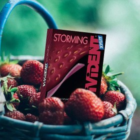 تصویر آدامس بدون شکر ویویدنت سری استورمینگ با طعم توت‌فرنگی ۱۲ عددی ا Vivident Storming Strawberry 12 Pcs Vivident Storming Strawberry 12 Pcs