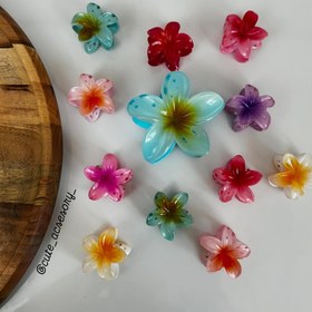 تصویر کلیپس پلومریا۴ سانتی 