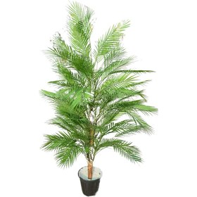 تصویر نخل اریکا مصنوعی 