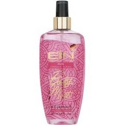 تصویر بادی اسپلش زنانه مدل Hug حجم 2 EIN Hug Body Splash For Women 2