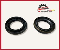 تصویر کاسه نمد پلوس برلیانس300 