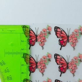 تصویر پروانه سه سانت 