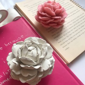 تصویر قالب گل پیونیا 