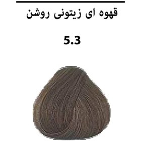 تصویر رنگ مو قهوه ای زیتونی روشن پرستیژ سری زیتونی Matt شماره 5.3 Prestige light olive brown hair color Matt olive series number 5.3