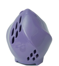 تصویر کیس گلوریا بنفش 