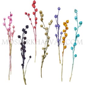 تصویر گل خشک مدل پیازی 