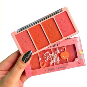 تصویر پالت رژگونه آنالیدی 