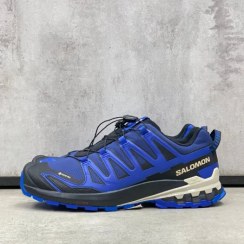 تصویر کتونی کاربنی سالامون مدل XA Pro 3D V9 Gore-Tex 