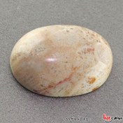 تصویر نگین انگشتر مرجان دریایی درشت بسیار عالی _کد:۱۸۲۳۷ 