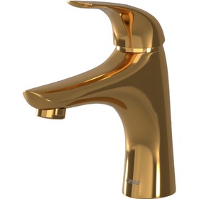 تصویر شیر روشوئی هیرمند کسری 