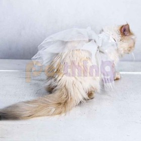 تصویر پیراهن عروس توری سگ و گربه مدل 03f 