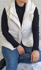 تصویر پافر وست 