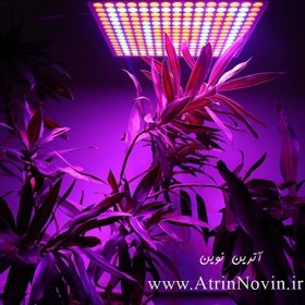 تصویر لامپ رشد گیاه 
