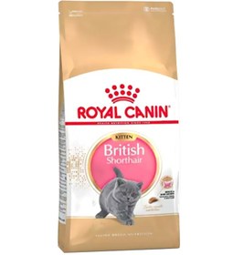 تصویر تغذیه بچه گربه نژاد مو کوتاه چند رنگ ۲ کیلوگرم برند royal canin Shorthair Kitten Breed Nutrition Multicolour 2kg