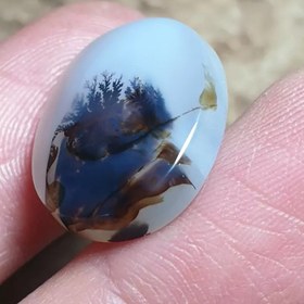 تصویر شجر قائن زیبا خاص 