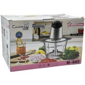 تصویر خردکن دسینی مدل M-880 