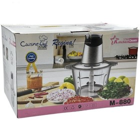 تصویر خردکن دسینی مدل M-880 