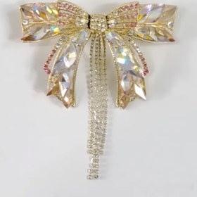 تصویر گیره پاپیونی مجلسی 