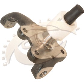 تصویر سگدست معمولی نیسان 