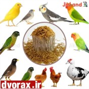 تصویر کرم میلورم - مکمل پرندگان با ارزش غذایی بالا 