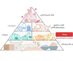 تصویر گریپ فروت Fresh وزن 1 کیلوگرم 