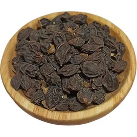 تصویر سپستان 