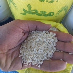 تصویر برنج عنبربو معطر شوشتر بسته 10 کیلو گرمی بسیار خوش پخت و خوش طعم کاملا تضمینی 