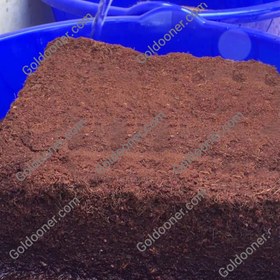 تصویر کوکوپیت سریلانکا Low EC 