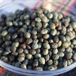 تصویر بنه (پسته کوهی) 