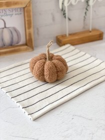 تصویر کدو تدی کوچک قهوه ای 