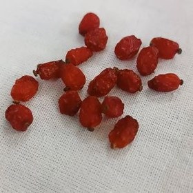 تصویر زرشک پفکی اعلاء 