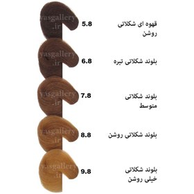 تصویر رنگ مو بیول بلوند شکلاتی تیره (6.8) Dark Chocolate Blonde BIOL 