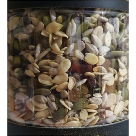 تصویر آجیل سالاد - 600 گرم 