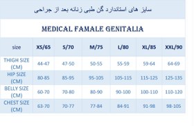 تصویر گن طبی زیرزانو پشت بسته ترک 