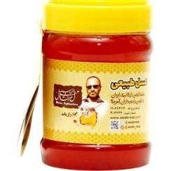 تصویر عسل رازیانه طبیعی 470 گرم 