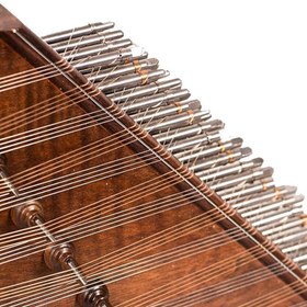 تصویر سنتور عرفان سیف 