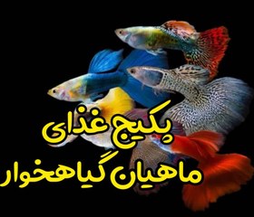 تصویر پکیج نگهداری ماهیان گیاهخوار 