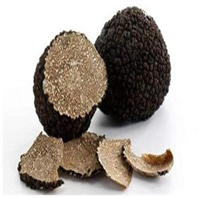 تصویر قارچ ترافل سیاه خشک بسته 50 گرمی Dried truffle mushroom 