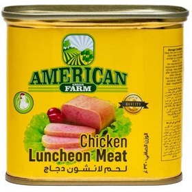 تصویر کنسرو گوشت مرغ امریکن فارم American Farm ا American Farm canned chicken meat American Farm canned chicken meat