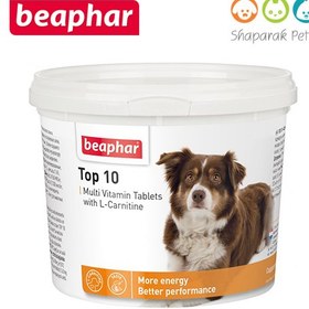 تصویر قرص مکمل سگ تاپ تن ضد ریزش مو 