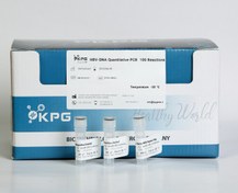 تصویر کیت استخراج DNA ویروس HPV (50 reactions) 