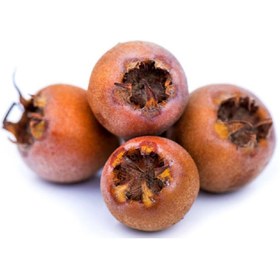 تصویر کونوس (ازگیل) Konoos