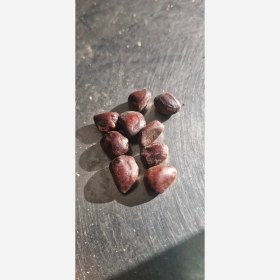 تصویر هسته تمبر هندی 75 گرم 