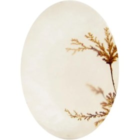 تصویر سنگ شجر کد 3042 